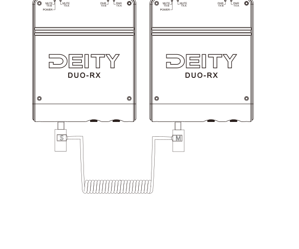 Two DUO-RX receivers connected together with the coiled sync cable, one marked S and one marked M
