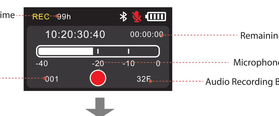 DLTX recording screen showing remaining recording time, elapsed time, level meter, file name, and bit rate