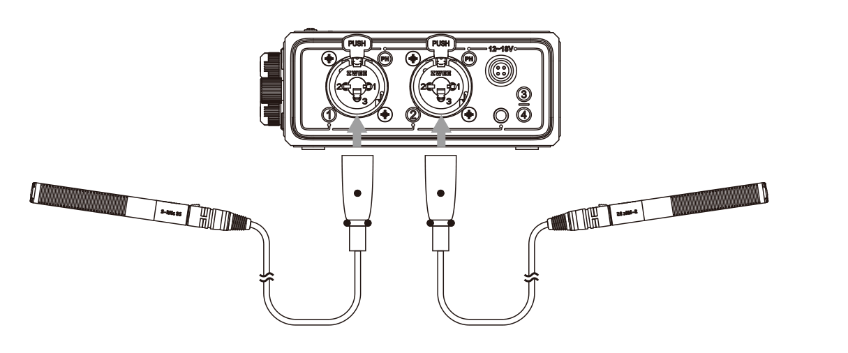 Two microphones connected to the PR-4 rear XLR inputs 1 and 2