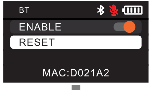 D2RX BT screen with ENABLE toggle, RESET option, and MAC address