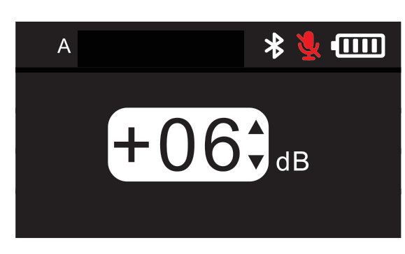 D2RX output port A gain shortcut screen showing +06 dB