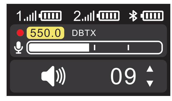 D2RX MONITOR volume screen showing level 09