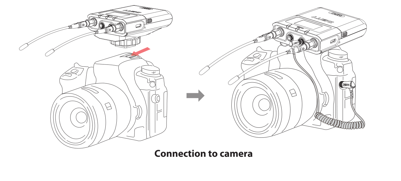 D2RX mounted on a camera cold shoe and connected to the camera audio input